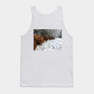 Scottish Highland Cattle Cows and Calves 1701 Tank Top